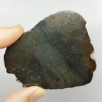 CHONDRITE Impact Melt Breccia L6. Meteoriet IFTIYSSANE, Verzamelen, Mineralen en Fossielen