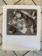 M.C. Escher (1898-1972) - Reptielen