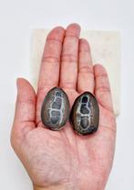 Septarie Geode, Verzamelen, Ophalen of Verzenden