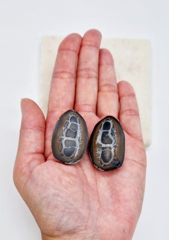 Septarie Geode, Verzamelen, Mineralen en Fossielen, Ophalen of Verzenden