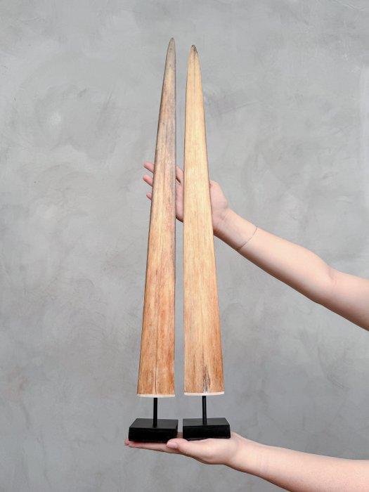 Geen reserveprijs - Prachtig paar zwaardviskaakgewrichten, Antiek en Kunst, Kunst | Designobjecten