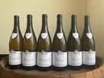 2023 Domaine Vaudoisey-Creusefond - Meursault - 6 Flessen, Nieuw
