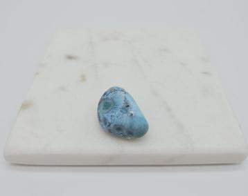Larimar (zie filmpje) beschikbaar voor biedingen