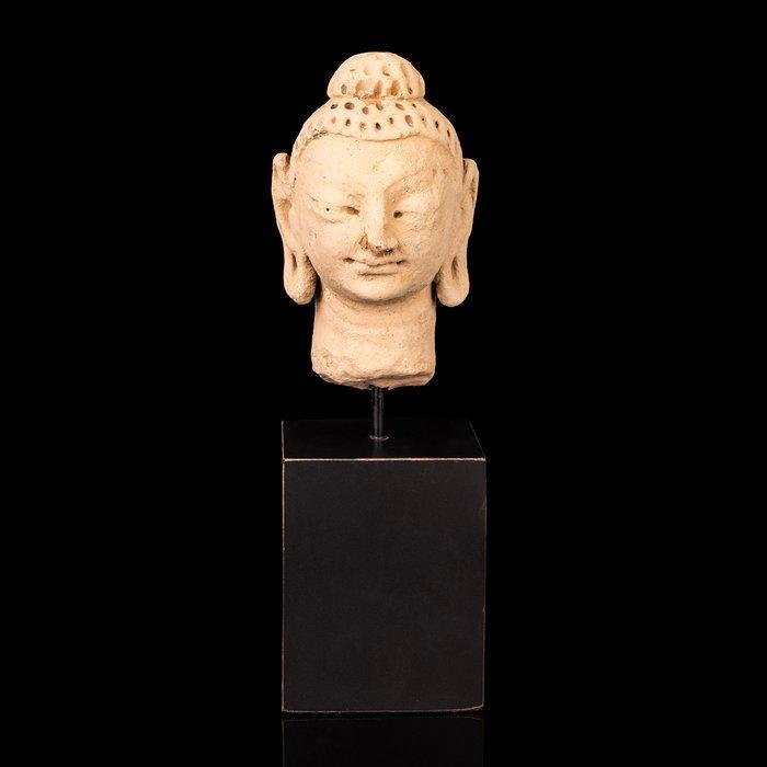 Gandharan Stucco Hoofd van de Boeddha met sereen gezicht van, Antiek en Kunst, Antiek | Overige Antiek