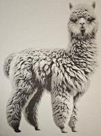 PLAID in Lana di Alpaca Exclusief- 200x140cm- Landdeken -