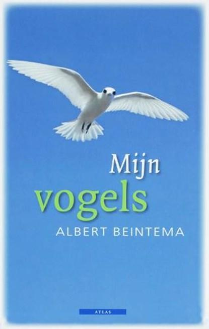 Mijn vogels | 9789045000398 | Beintema, A., Boeken, Literatuur, Zo goed als nieuw