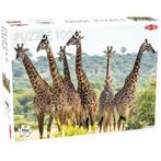 Puzzel Animals: Giraffen 1000 stukjes, Kinderen en Baby's, Speelgoed | Kinderpuzzels, Nieuw, Verzenden
