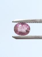 Zonder minimumprijs - 1 pcs Roze Toermalijn - 1.63 ct -, Sieraden, Tassen en Uiterlijk, Edelstenen, Nieuw