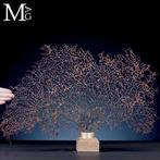 Natuurlijke zwarte Gorgonia - Een moderne Wunderkammer -