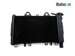 Radiateur Triumph Tiger 900 1993-1998 (T400 885), Motoren, Onderdelen | Overige, Verzenden, Gebruikt