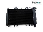 Radiateur Triumph Tiger 900 1993-1998 (T400 885), Motoren, Verzenden, Gebruikt