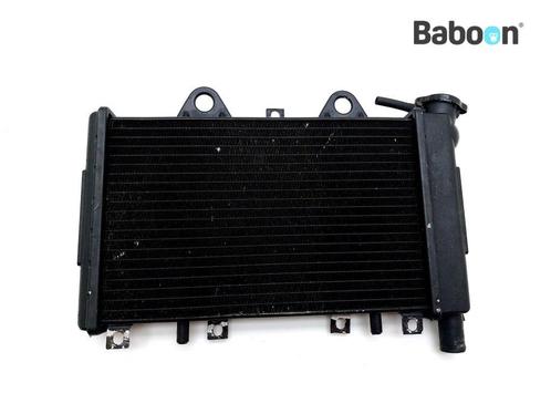 Radiateur Triumph Tiger 900 1993-1998 (T400 885), Motoren, Onderdelen | Overige, Gebruikt, Verzenden