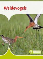 9789086648849 Junior Informatie 115 - Weidevogels, Verzenden, Zo goed als nieuw, Geert-Jan Roebers