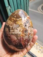 Fossiel hout - Gefossiliseerd hout - 13 cm - 9.5 cm (Zonder, Verzamelen
