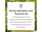 Triumph Tree Tsuga Kunstkerstboom - H185 x Ø109 cm - Groen, Diversen, Kerst, Verzenden, Nieuw