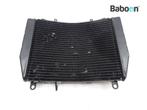 Radiateur MV Agusta Brutale 750 S 2003-2005, Motoren, Verzenden, Gebruikt