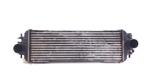 Intercooler radiateur Renault Trafic II  1.9 dCi 100, Auto-onderdelen, Motor en Toebehoren, Ophalen of Verzenden, Gebruikt, Renault