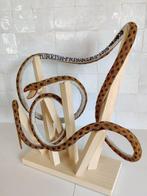 Glasparels - Ottomaans rijk - 21e eeuw