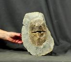 calciet Septaria - Hoogte: 28 cm - Breedte: 17 cm- 6.7 kg, Verzamelen, Mineralen en Fossielen