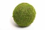 Actie Bol Mos, Bal Mos, Asiamos 15 cm. mosbal bol mos, Ophalen of Verzenden, Nieuw