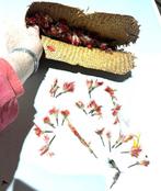 1950 setje kleine veerdecoraties in een zakje van