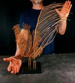 composé van gorgoniën + voetstuk Taxidermie volledige, Nieuw