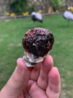 Spessartien geëtst garnet met mica en veldspaat Exemplaar -, Verzamelen, Mineralen en Fossielen