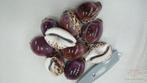 Cypraea Tigris Purple - Tijgerschelp 10 stuks, Ophalen of Verzenden, Nieuw
