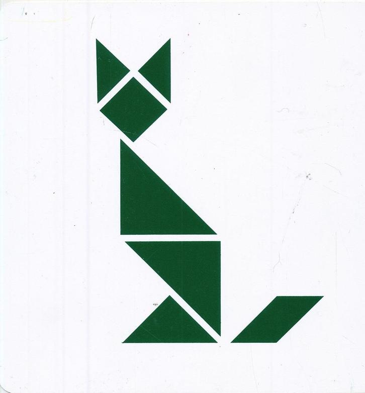 Jegro tangram voorbeeldkaarten in houten kistje, Boeken, Schoolboeken, Nieuw, Verzenden