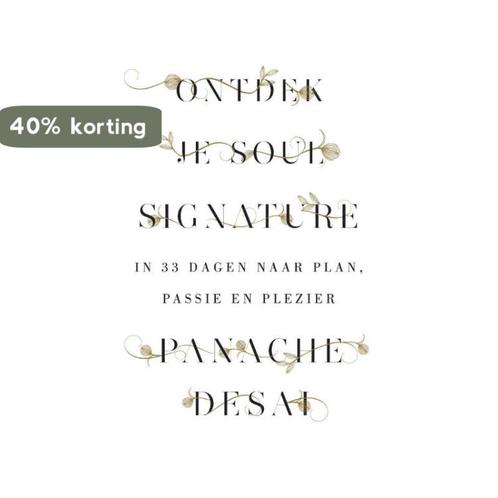 Ontdek je soul signature 9789021557359 Panache Desai, Boeken, Esoterie en Spiritualiteit, Gelezen, Verzenden