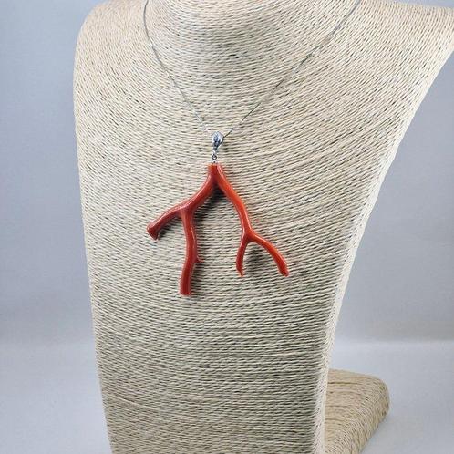 Bloedkoraal - Zilver - Ketting met hanger - MIDDELLANDSE ZEE, Verzamelen, Dierenverzamelingen