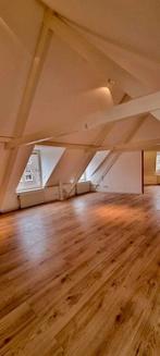 Te huur: Appartement Nieuwe Langendijk in Delft 1 slaapkamer, Huizen en Kamers, Huizen te huur, Direct bij eigenaar, Centrum-Oost