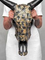Geen veilingprijs - Prachtige koeienschedel met