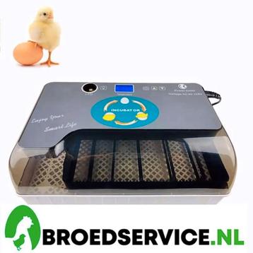 ACTIE - Automatische broedmachine met GRATIS broedeieren naa beschikbaar voor biedingen