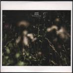 cd promo - Anneli Drecker - Rocks &amp; Straws, Verzenden, Zo goed als nieuw