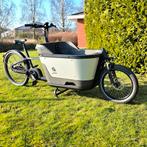 Elektrische bakfiets Carqon Cruise / 800 wh / 2024, Fietsen en Brommers, Fietsen | Bakfietsen, Ophalen, Nieuw, 2 kinderen, Elektrisch