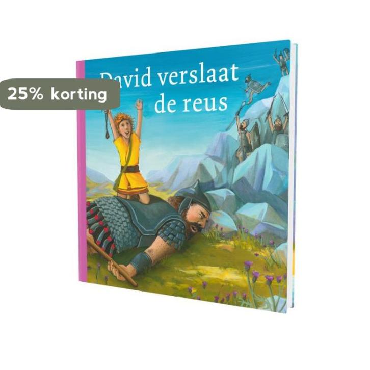 David verslaat de reus 9789089120724, Boeken, Overige Boeken, Gelezen, Verzenden