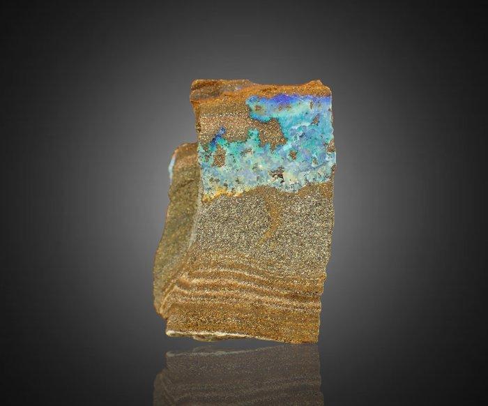 Boulder Opal – kleurvol exemplaar – Queensland, Australië, Verzamelen, Mineralen en Fossielen