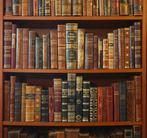 various - Large antique leather bound book collection -