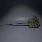 Kansen Brons, Koper Haarklem met ster. 32 cm lang. 1000 -