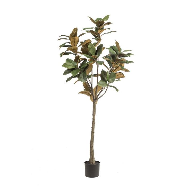Kunstplant - 150 cm - Magnolia Grandiflora, Huis en Inrichting, Woonaccessoires | Wanddecoraties, Nieuw, Verzenden