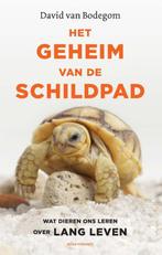 Het geheim van de schildpad 9789045038933 David van Bodegom, Boeken, Verzenden, Gelezen, David van Bodegom