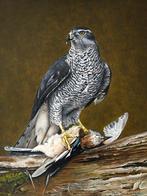 Jan Teunissen (1949) - Havikman met gaai