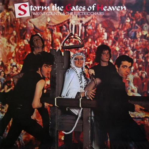 LP gebruikt - Wayne County &amp; The Electric Chairs - St..., Cd's en Dvd's, Vinyl | Rock, Zo goed als nieuw, Verzenden