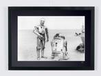 Star Wars Episode IV: A New Hope -  R2-D2 & C-3PO - Droids -, Verzamelen, Nieuw