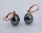 Oorbellen - 14 karaat Roségoud - 10x11mm Tahitiaanse Parel, Sieraden, Tassen en Uiterlijk, Oorbellen, Nieuw
