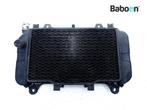 Radiateur Kawasaki ZZR 600 2003-2005 (ZZR600 ZX-6E, Verzenden, Gebruikt