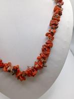 Bloedkoraal Koraal - Corallium rubrum (Zonder Minimumprijs), Nieuw