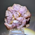 FLUORITE ROZE en PAARS, veel kubussen, Engels Kristallen op, Verzamelen, Mineralen en Fossielen