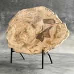 Prachtig groot stuk versteend hout op een op maat gemaakte, Antiek en Kunst
